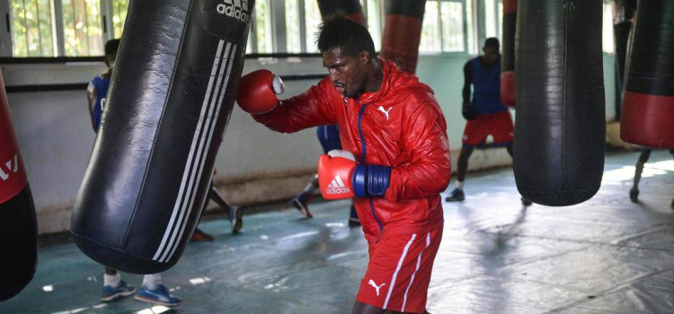 Cuba volta a ter boxe profissional após 60 anos