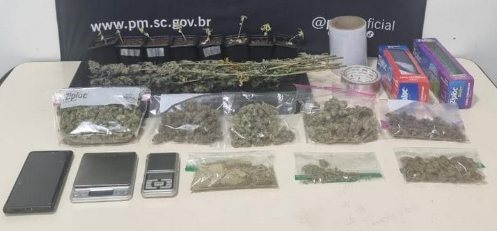 Homem é preso cultivando droga em casa
