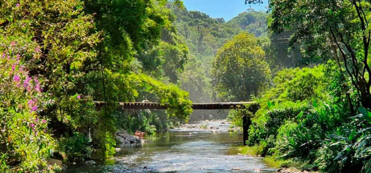 Linha Nova Rússia retoma trajeto tradicional após liberação de ônibus em ponte