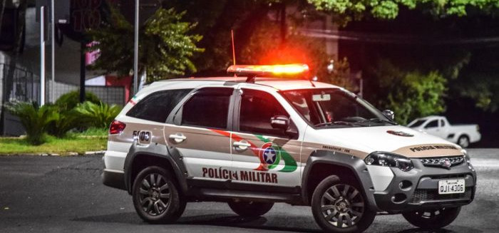 Mulher é presa no Progresso após esfaquear cachorro em Blumenau