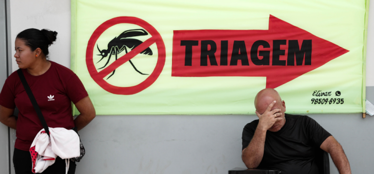 Sobe para 391 o número de mortos por dengue no Brasil