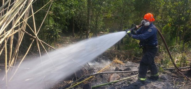 Bombeiros registraram mais de 200 focos de incêndio em vegetação
