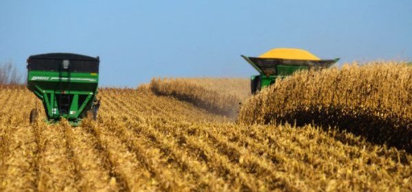 Safra agrícola de 2024 será 2,8% menor