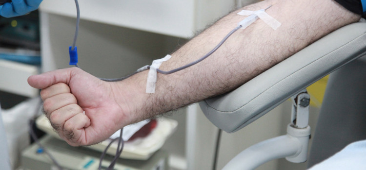 Doações de sangue aumentam com campanha da Câmara