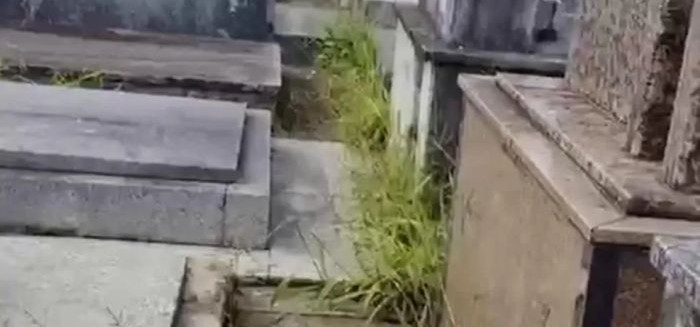 Matagal em cemitério da Rua Bahia volta a gerar queixas