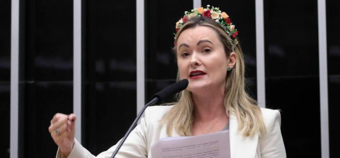 CCJ aprova serviço comunitário em abrigos de animais sob relatoria de Zanatta