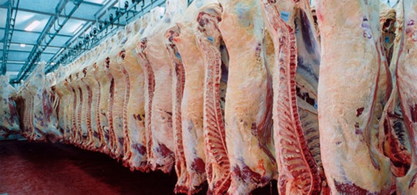 Veja um panorama da produção de carnes em Santa Catarina