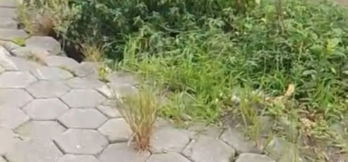 Buracos e desníveis na Itoupavazinha causam revolta