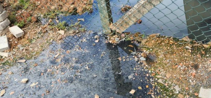 Moradores da Itoupavazinha sofrem com esgoto a céu aberto há 5 meses