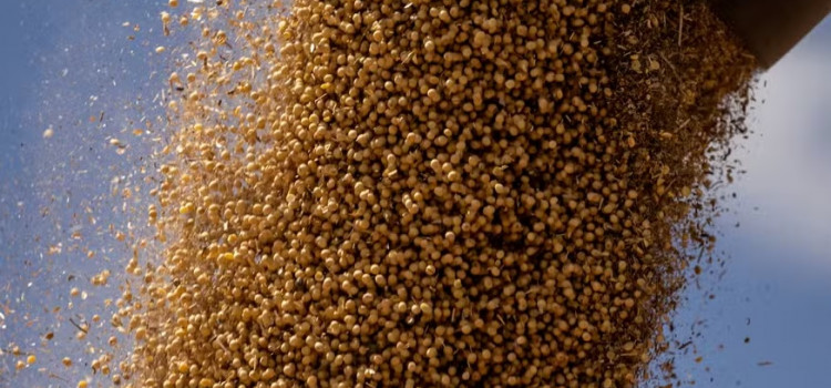 Agricultura e renda atenuam efeito de juros altos