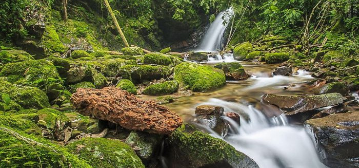 Blumenau une qualidade de vida europeia e preservação ambiental recorde