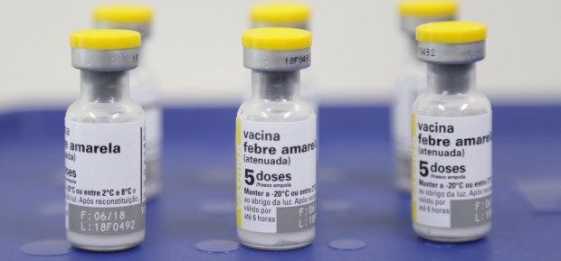 Saúde reforça importância da vacinação contra febre amarela