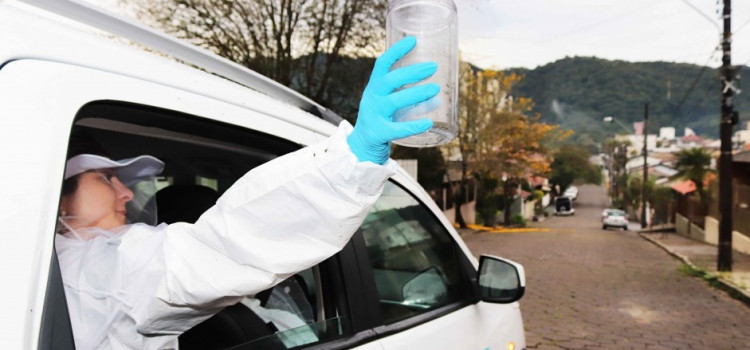 Blumenau zera mortes por dengue em 2025