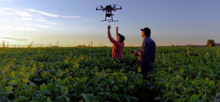 Plano Safra injeta R$ 72 bi no agro e reduz juros do setor