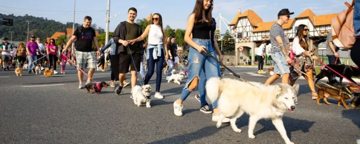 Cãominhada reúne tutores e pets neste domingo