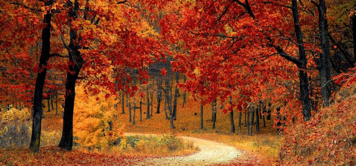 Outono em Blumenau terá temperaturas acima da média e variação térmica