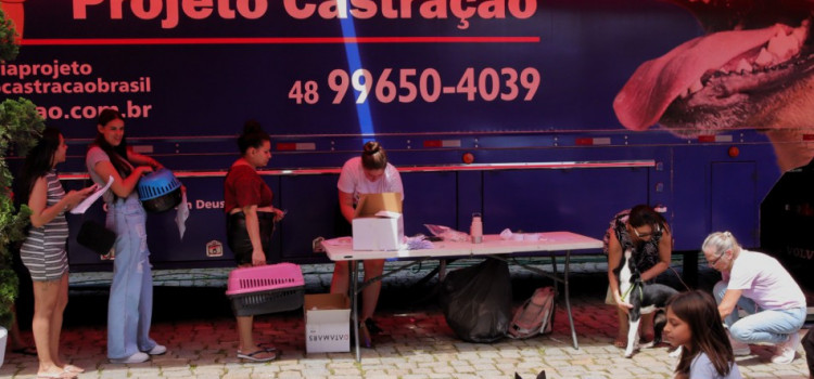 Blumenau realiza castração de quase 20 mil animais