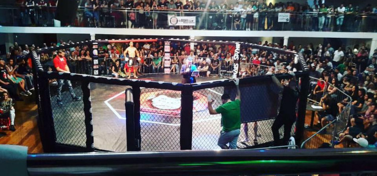 Blufight projeta futuro magnífico em novo calendário