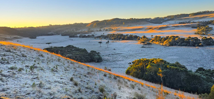 SC registra temperatura mais baixa do ano com -6,5°C em São Joaquim