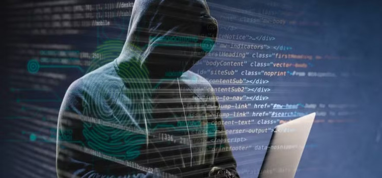 Golpes digitais disparam em Santa Catarina
