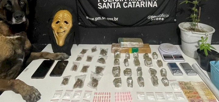 Ponto de tráfico de drogas é desarticulado em Itajaí