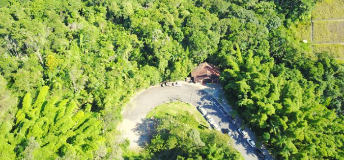 Floresta secreta: o refúgio de Mata Atlântica escondido no Centro