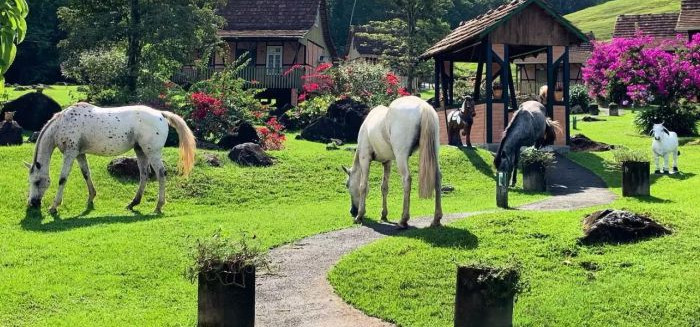 Pomerode atrai 1 milhão de turistas e bate recorde histórico