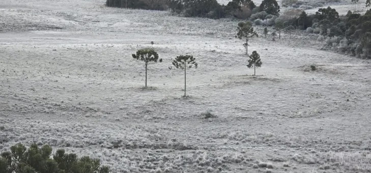 Onda de frio congela Santa Catarina