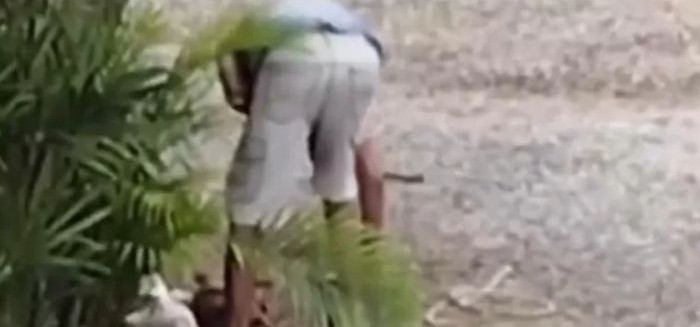 Homem é preso em Timbó após matar dois cães com golpes de machado