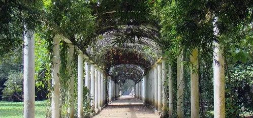 Conheça destinos com Jardins Botânicos brasileiros