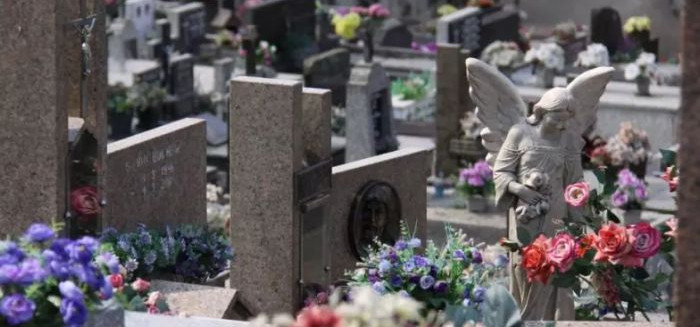 Blumenau estuda permitir sepultamento de pets junto aos tutores