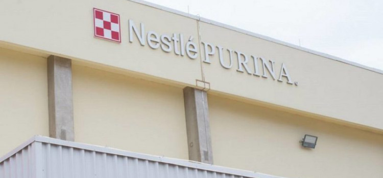 Nestlé Purina investe R$ 1 bilhão em SC