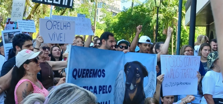 Manifestação pelo cão Orelha reúne protetores em frente à Prefeitura de Blumenau