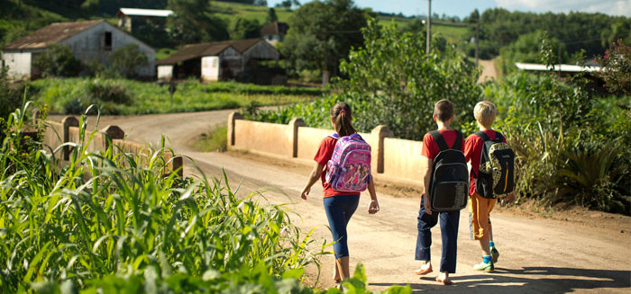 Comissão vai tratar de diretrizes e recursos para educação no campo