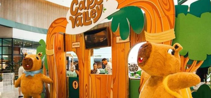 CapiValley: parque temático de capivaras promete encantar famílias