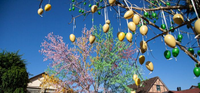 Moradores transformam árvore em atração de Páscoa em Pomerode