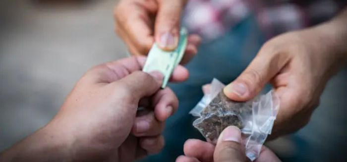 Casos de tráfico movimentam o plantão policial nas Itoupavas