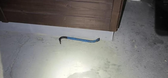 Arrombador é preso na Fortaleza Alta